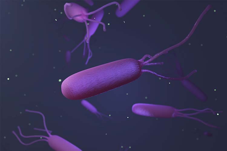 ピロリ菌のイメージCG